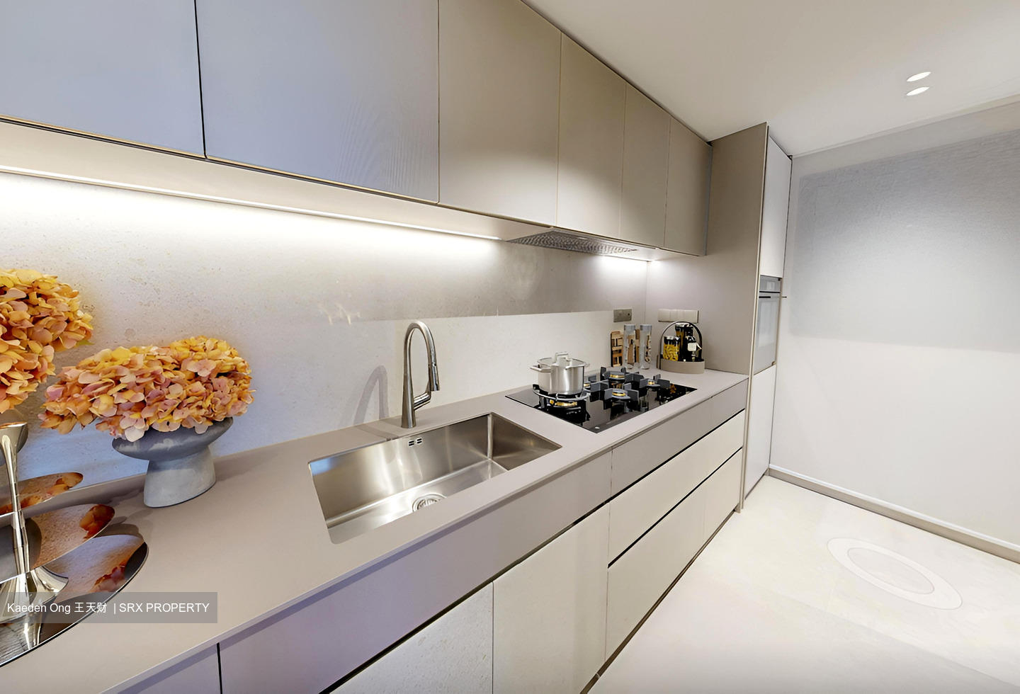 Union Square Residences (D1), Condominium #498534581